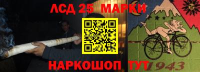 твердый Камышлов