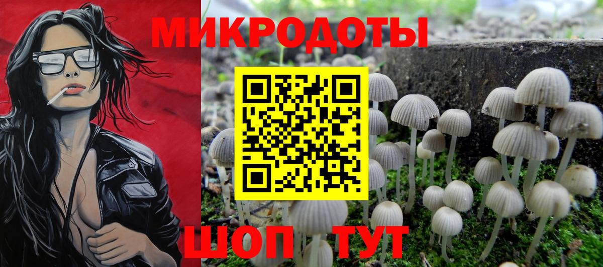 Псилоцибиновые грибы прущие грибы  где найти   Юрга  Вход с VPN 