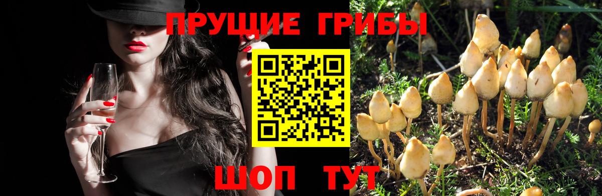 Галлюциногенные грибы Magic Shrooms Юрга